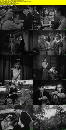High Sierra 1941 WEBRip XviD MP3-XVID