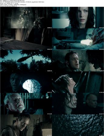 Underworld Collection 720p BRRip x264 AC3 DiVERSiTY