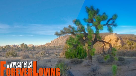 Creating Presets, LUTs, and Profiles for Photography