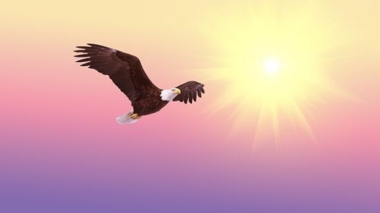 PTSD: Cleaning and Clearing Shock and Trauma