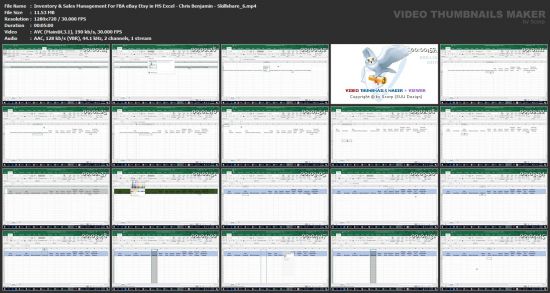 Inventory &amp; Sales Management For FBA eBay Etsy in MS Excel