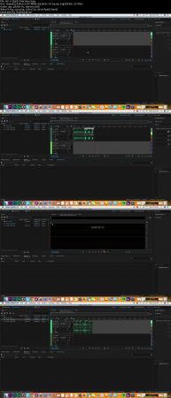 Adobe Audition: Master Adobe Audition CC (Audio Production)