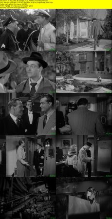 The Fuller Brush Man 1948 WEBRip XviD MP3-XVID