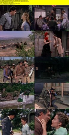 The Lawless Breed 1953 1080p WEBRip x264-RARBG