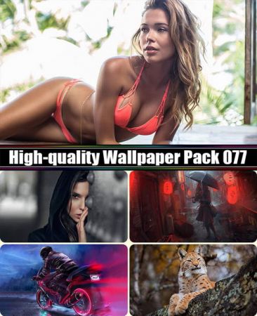 High-quality Wallpaper Pack 077
