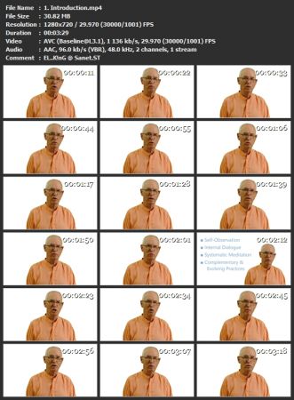 Summary of Traditional Yoga Practices