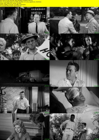 The Intruder 1962 WEBRip XviD MP3-XVID