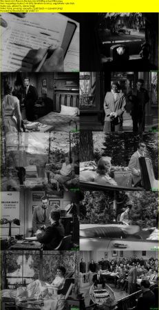 A Place in the Sun 1951 WEBRip x264-ION10