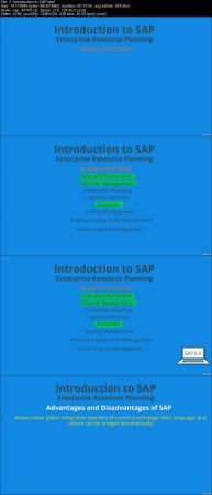  SAP S4 HANA Sales and Distribution 