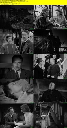 Johnny Belinda 1948 1080p WEBRip x264-RARBG