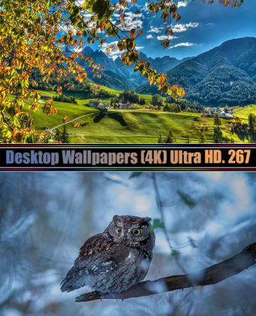 Desktop Wallpapers (4K) Ultra HD. Part (267)