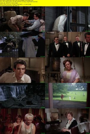 Splendor in the Grass 1961 WEBRip x264-ION10