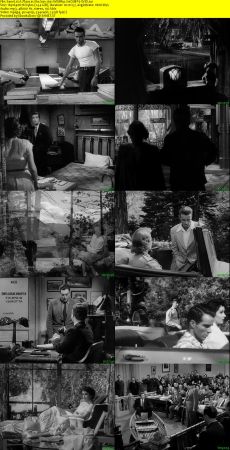 A Place in the Sun 1951 WEBRip XviD MP3-XVID