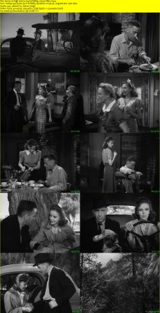 High Sierra 1941 WEBRip x264-ION10
