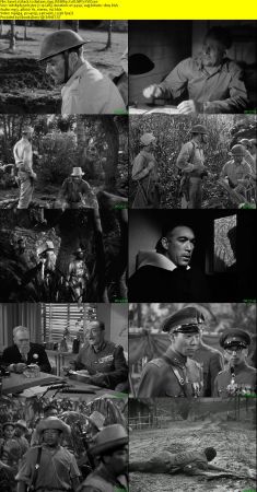 Back to Bataan 1945 WEBRip XviD MP3-XVID