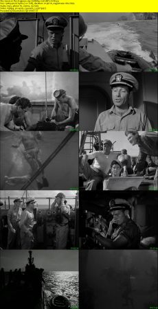 The Frogmen 1951 WEBRip XviD MP3-XVID