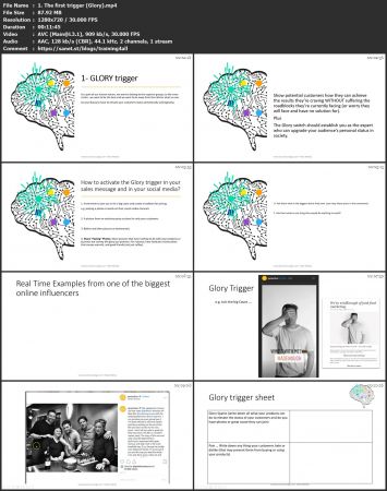 Online Influence and Persuasion (8 psychological principles)