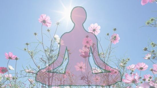 Summary of Traditional Yoga Practices