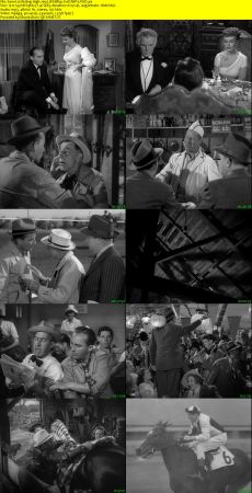 Riding High 1950 WEBRip XviD MP3-XVID