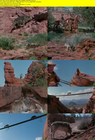 The Legend Of Lobo 1962 WEBRip XviD MP3-XVID