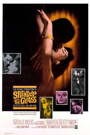 Splendor in the Grass 1961 WEBRip XviD MP3-XVID