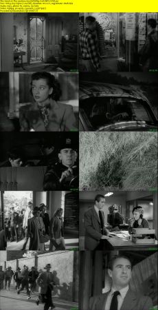 The Lawless 1950 WEBRip XviD MP3-XVID