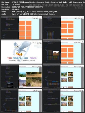  HTML &amp; CSS Flexbox Web Development Guide - Create a Web Gallery with Responsive Web Design