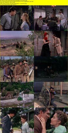 The Lawless Breed 1953 WEBRip x264-ION10