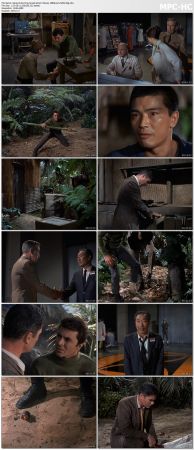 The Time Tunnel S01 Bluray 1080p AC3 H265-d3g