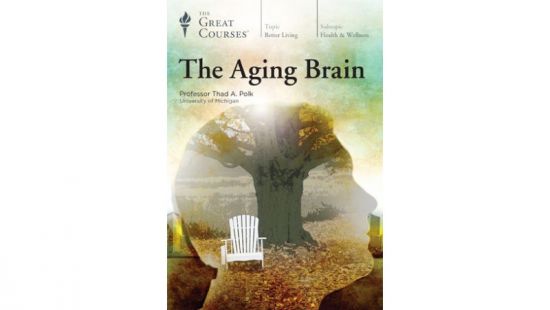 The Aging Brain pdf