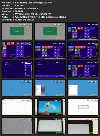 Excel 2013 For Dummies Video Training, Deluxe Edition