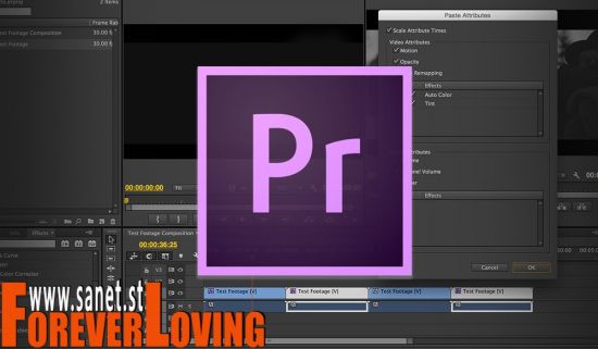 Introduction To Video Editing In Premiere Pro