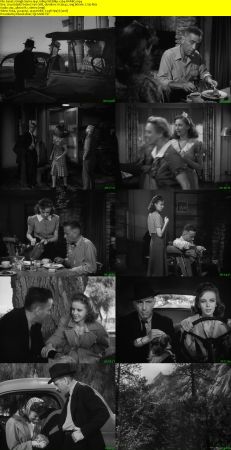 High Sierra 1941 1080p WEBRip x264-RARBG