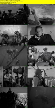 The Frogmen 1951 1080p WEBRip x264-RARBG
