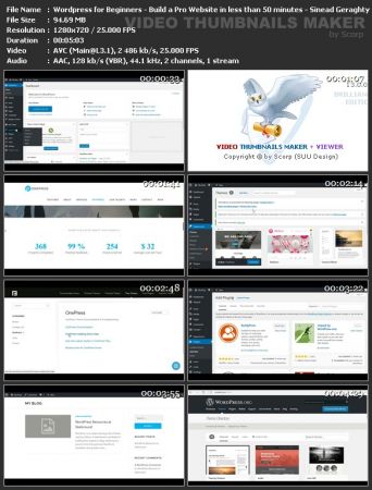  Wordpress for Beginners - Build a Pro Website in less than 50 minutes