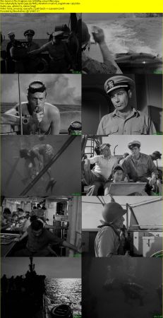 The Frogmen 1951 WEBRip x264-ION10