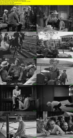 The Champ 1931 1080p WEBRip x264-RARBG