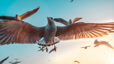 Clear Your Fear of Heights in Just 3 Days (with EFT)