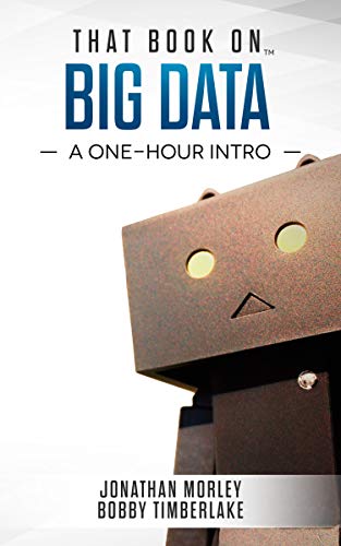 That Book on Big Data: A One-Hour Intro 