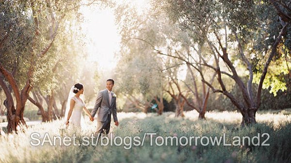 Lighting and Posing for Wedding Photographers