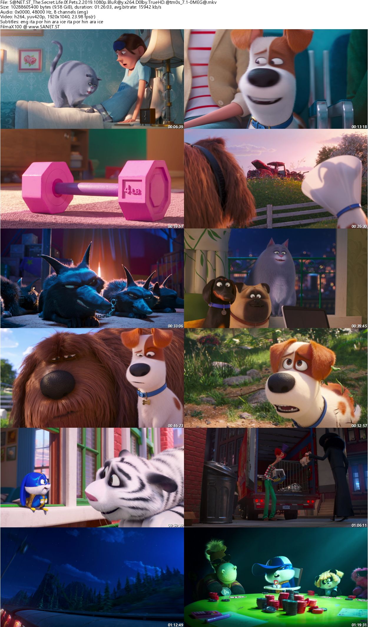 The Secret Life of Pets download the last version for apple