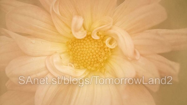 Creating Painterly Photographs