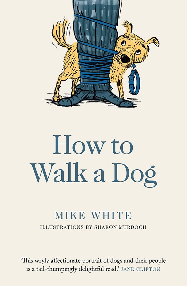 Download How to Walk a Dog - SoftArchive
