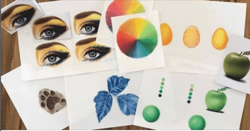 Fundamentals of Coloured Pencils - Beginners Course