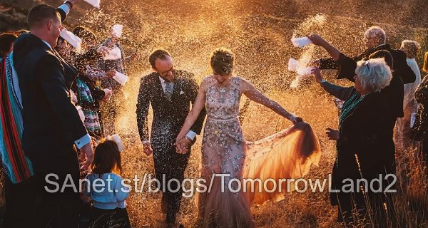The Business of Wedding Photography