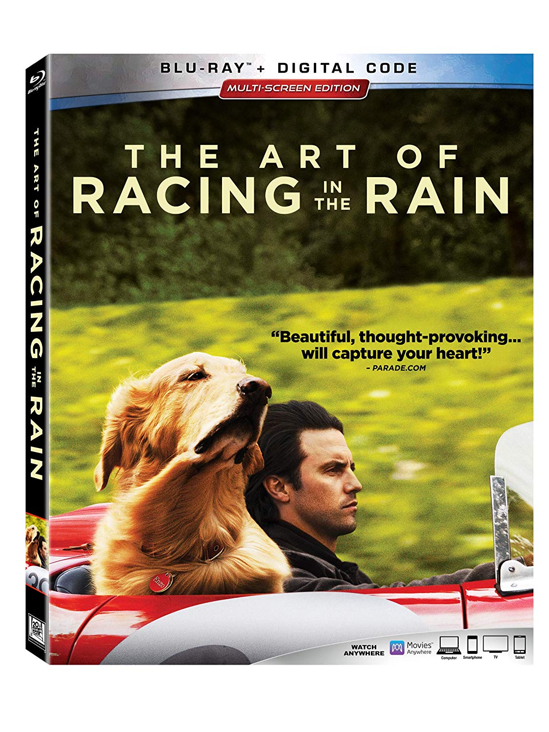 2019 The Art Of Racing In The Rain