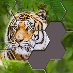 Hexa Jigsaw Puzzle v17.03