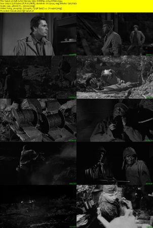 Hell Is for Heroes 1962 WEBRip x264-ION10