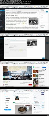  Blogging For Ecommerce - Blog Post Writing, Structure, Setup 