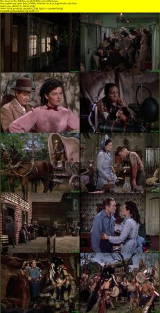 The Paleface 1948 WEBRip x264-ION10